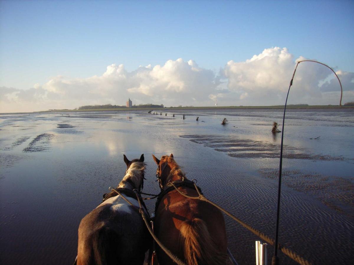 Appartamento Residenz Hohe Worth Cuxhaven Esterno foto